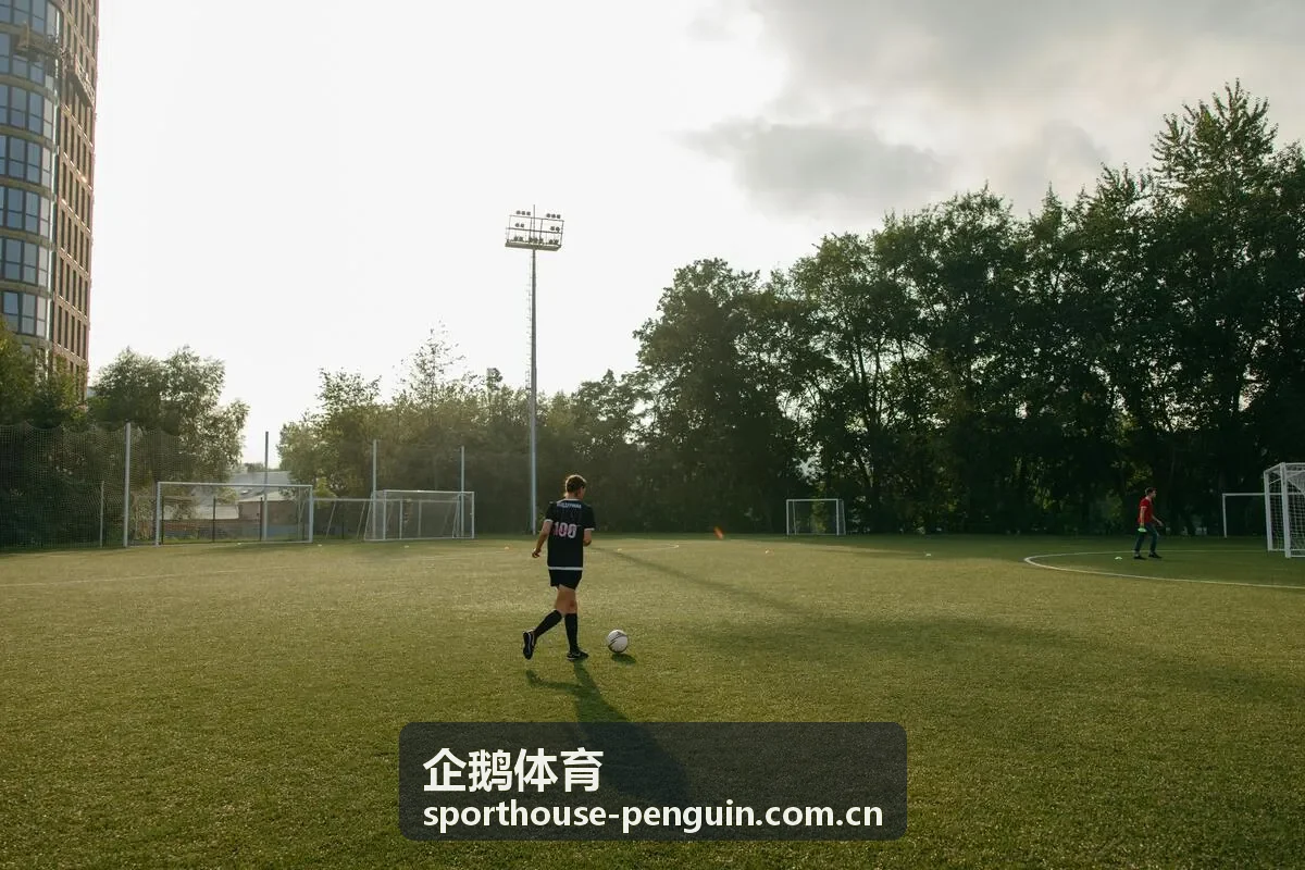 企鹅体育中心篮球馆室内实景